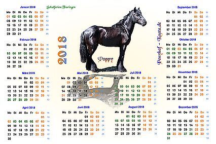 Pferdepension Kalender Kaata 2018 
